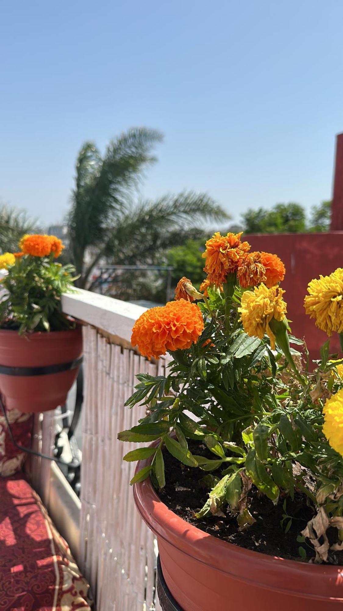 House With Sea View In Kasbah Villa Tangier Exterior photo